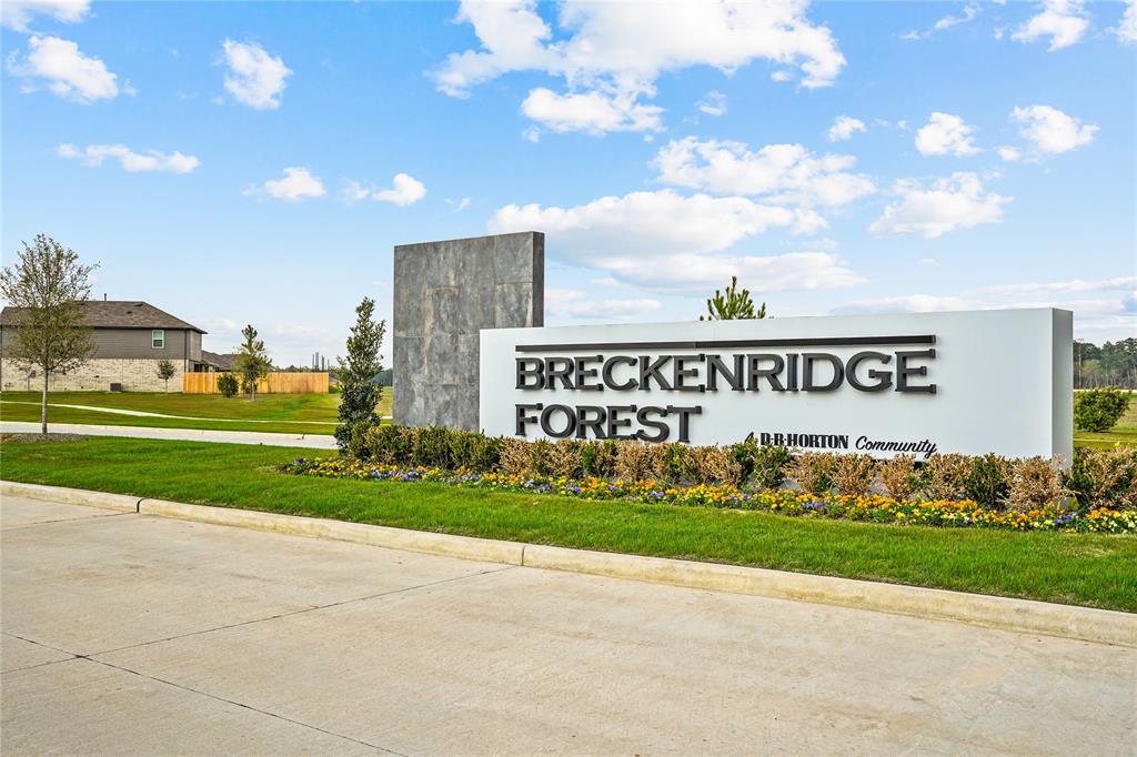 23918 Rambling Rose Court, Spring, Texas image 19