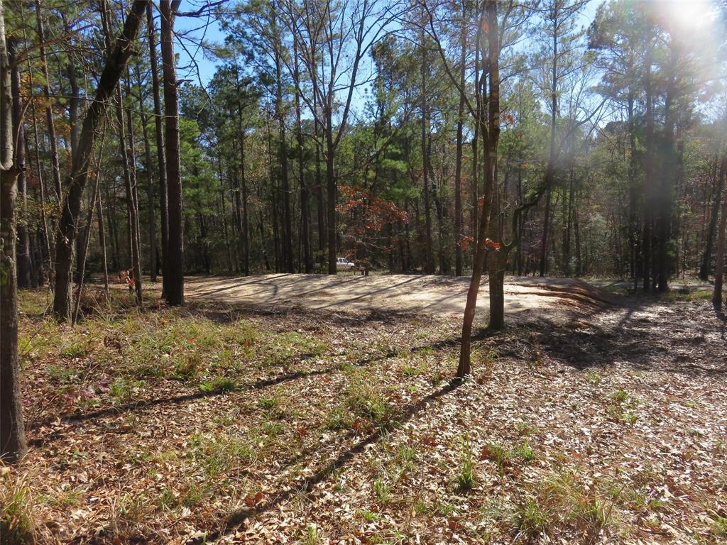Tall Timbers Drive, Coldspring, Texas image 5