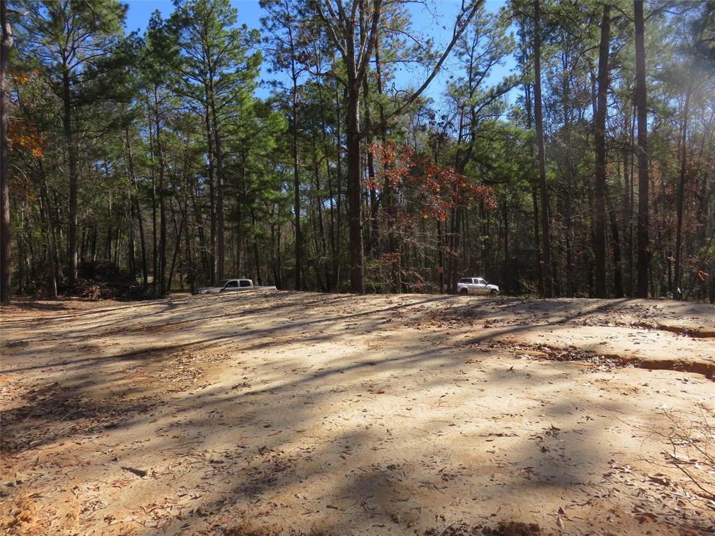 Tall Timbers Drive, Coldspring, Texas image 1