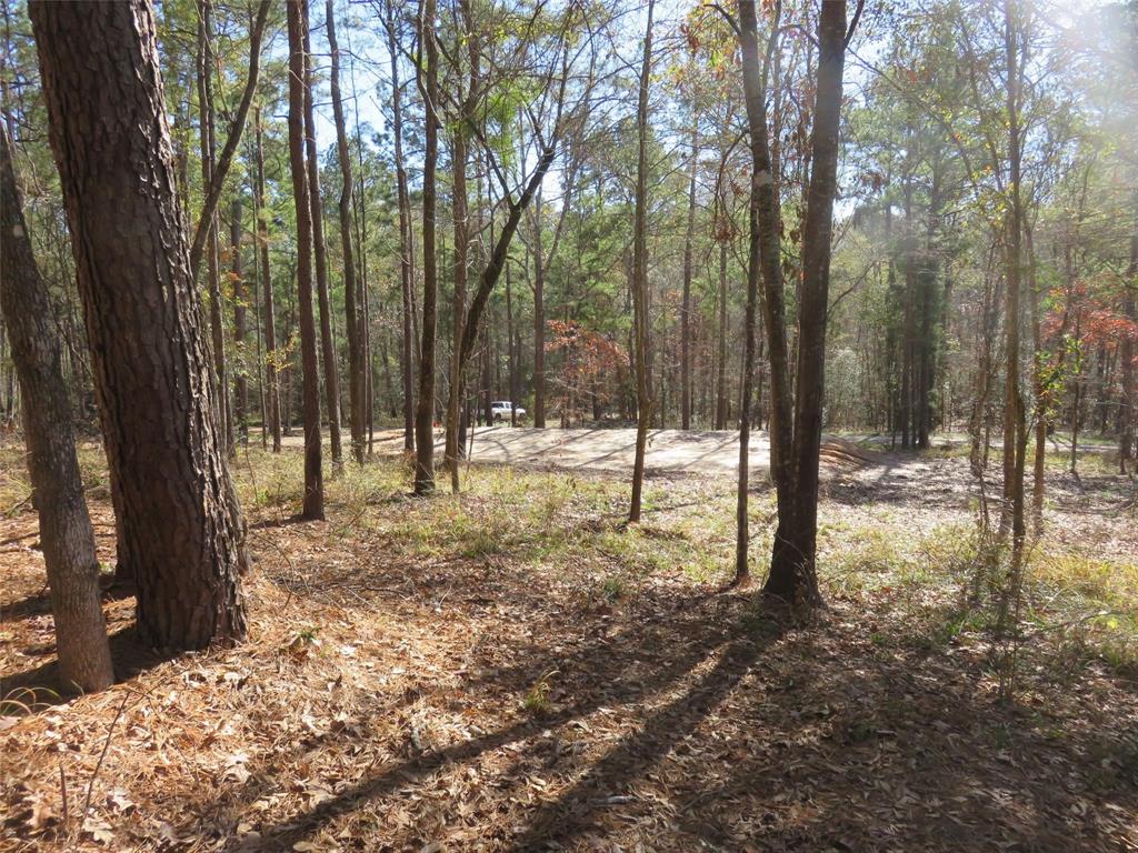 Tall Timbers Drive, Coldspring, Texas image 4