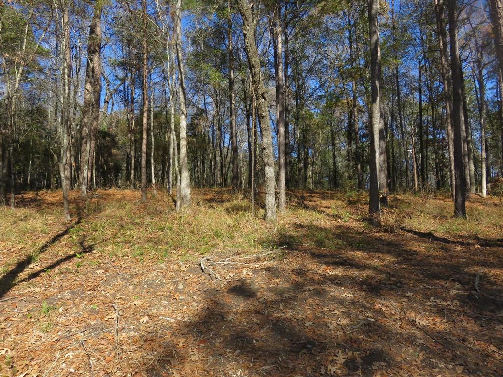 Tall Timbers Drive, Coldspring, Texas image 2