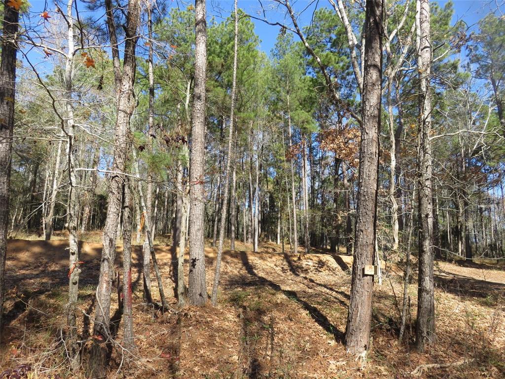 Tall Timbers Drive, Coldspring, Texas image 6