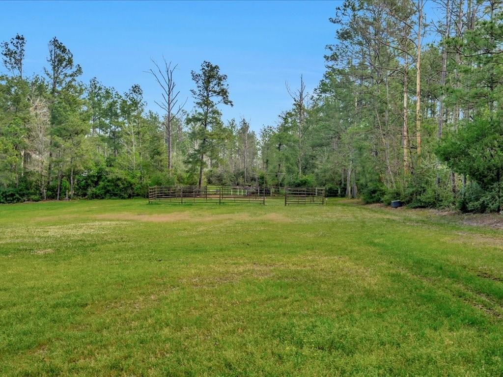 759 W Barnum Loop, Corrigan, Texas image 35