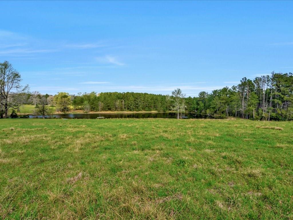 759 W Barnum Loop, Corrigan, Texas image 37