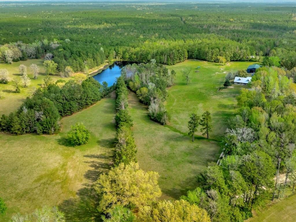 759 W Barnum Loop, Corrigan, Texas image 44