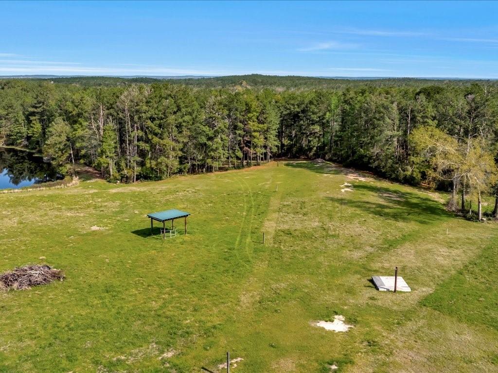 759 W Barnum Loop, Corrigan, Texas image 48