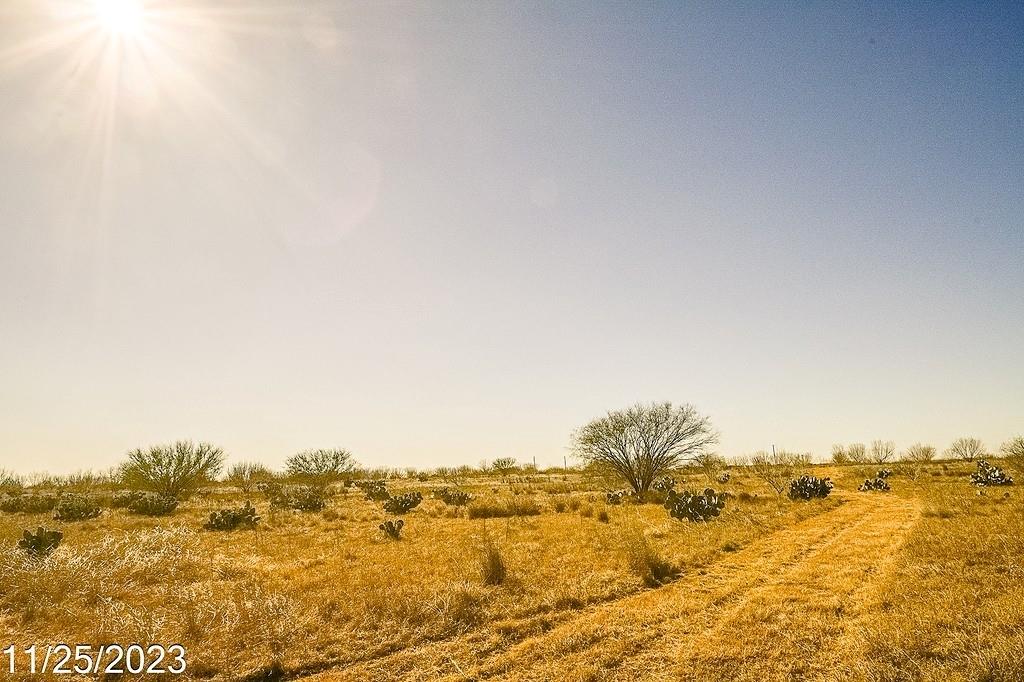 TR 3 000 W Us Hwy 85 Street, Dilley, Texas image 12