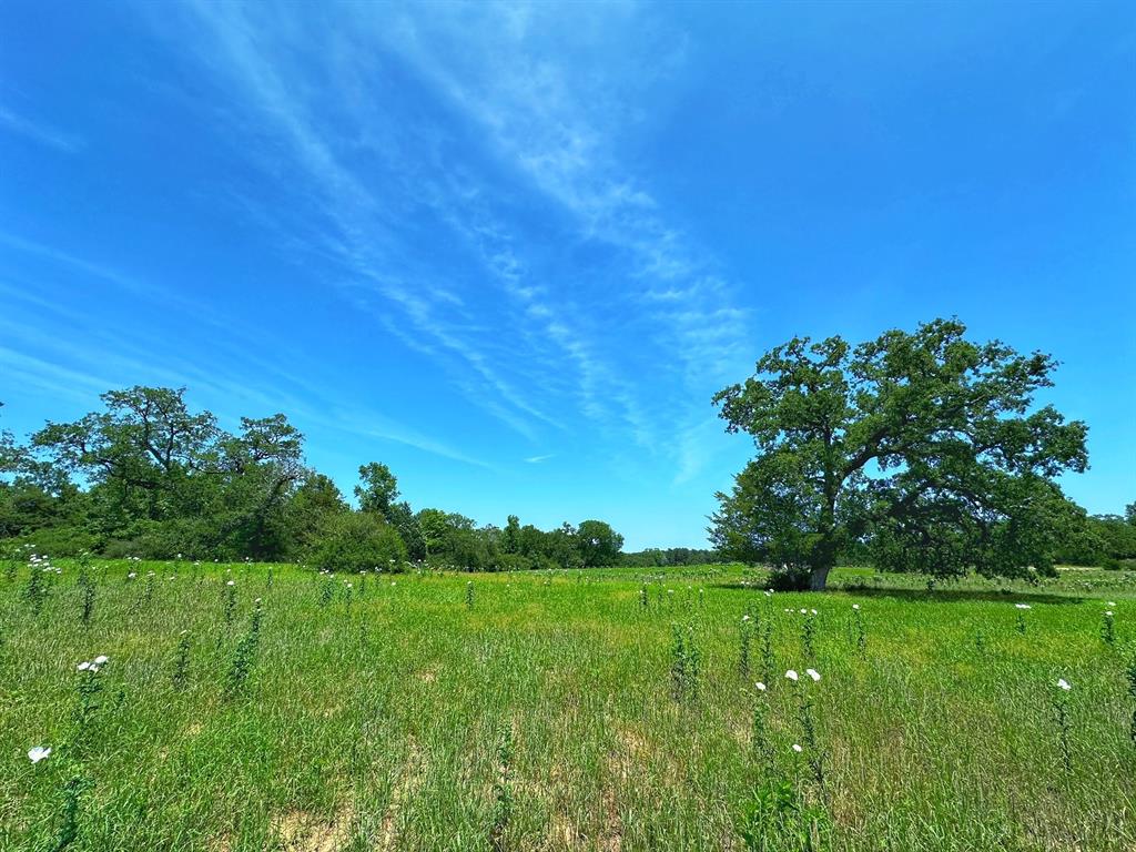 4777 Pr 1310, Centerville, Texas image 4