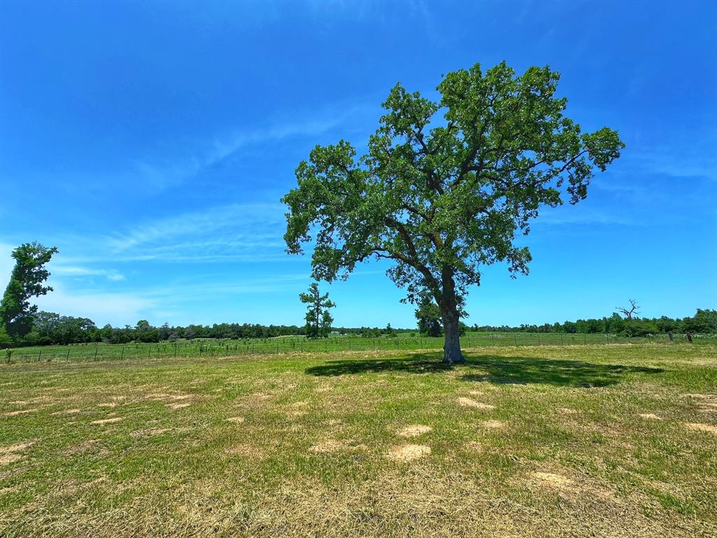 4777 Pr 1310, Centerville, Texas image 27