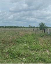 Off Logenbaugh Road, Katy, Texas image 3