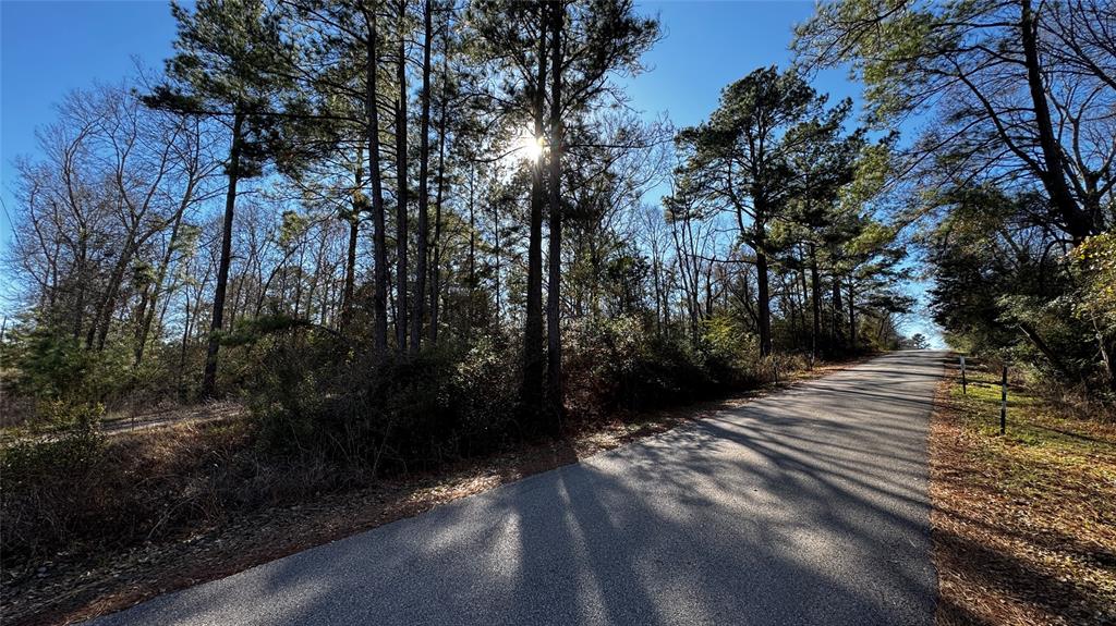 TBD Buck Lane, Hempstead, Texas image 5