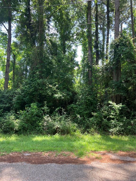 TBD Holly Drive, Onalaska, Texas image 3