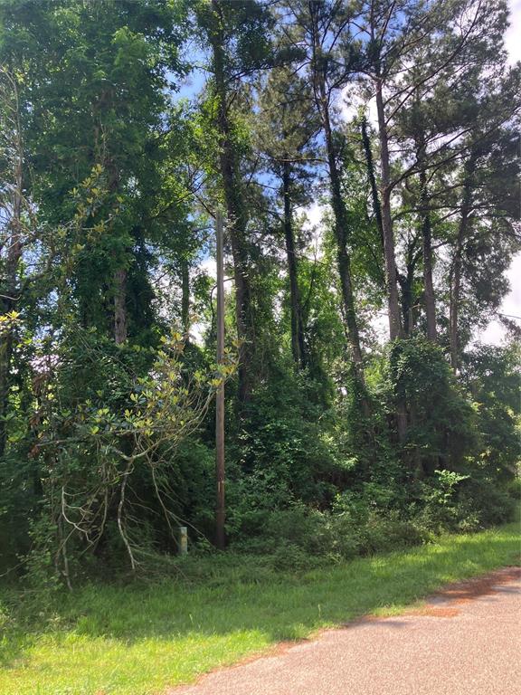 TBD Holly Drive, Onalaska, Texas image 4
