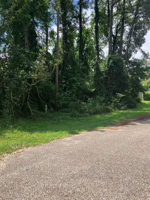 TBD Holly Drive, Onalaska, Texas image 1