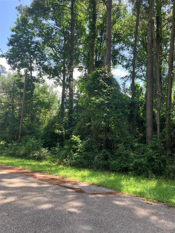 TBD Holly Drive, Onalaska, Texas image 2