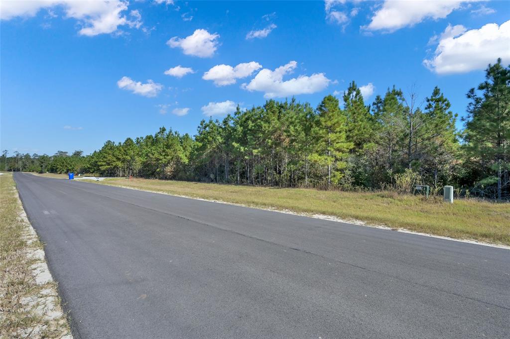 12007 High Branch Way, Willis, Texas image 9