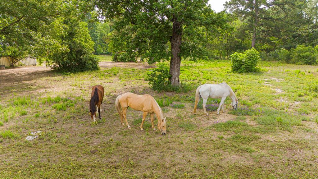 11664 Fm 92, Silsbee, Texas image 31