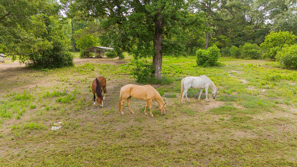 11664 Fm 92, Silsbee, Texas image 21