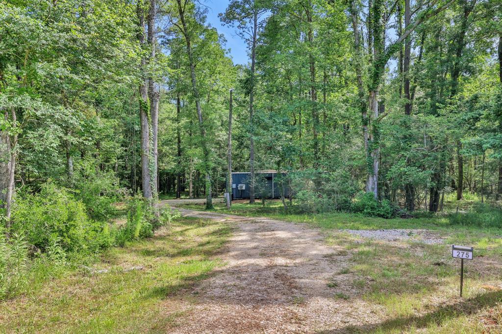275 Fairview, Livingston, Texas image 19