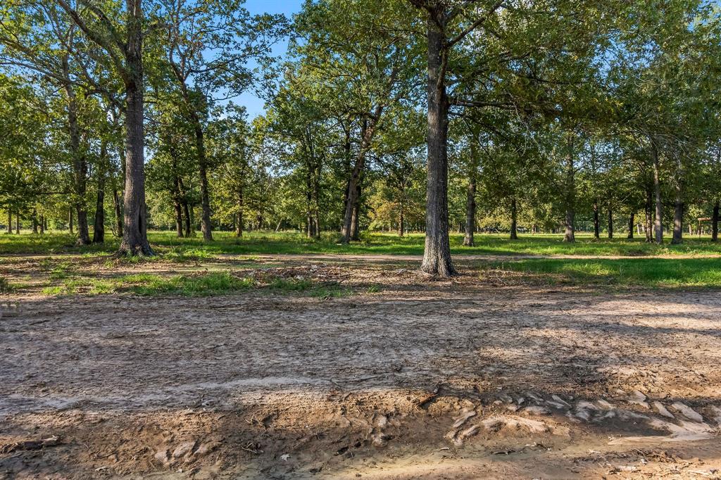 Lot 4 Alans Memorial Lane, New Waverly, Texas image 3