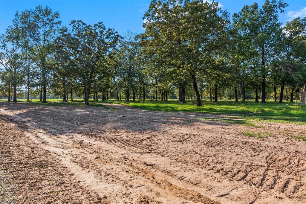 Lot 4 Alans Memorial Lane, New Waverly, Texas image 1