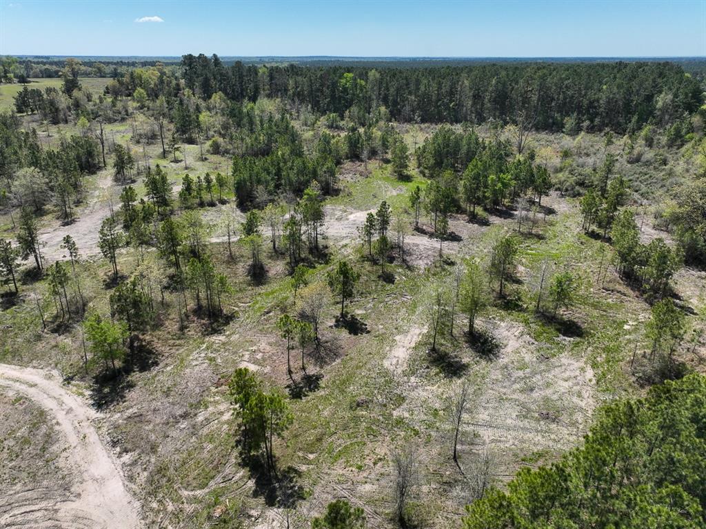 1 County Road 3375, Lovelady, Texas image 2