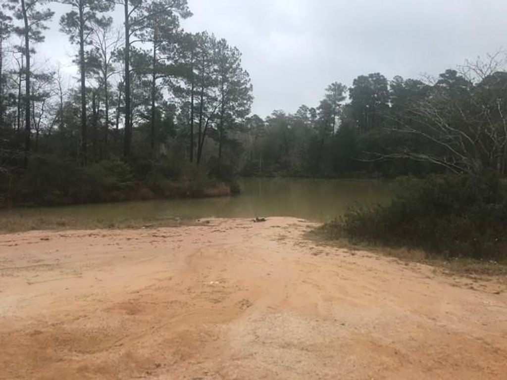 listing image 26