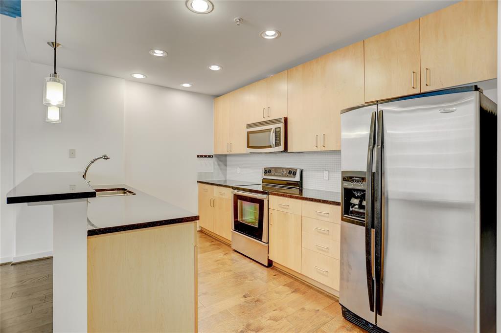 5925 Almeda Road #11204, Houston, Texas image 5