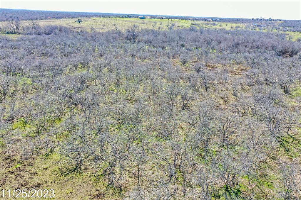 000 Cr 450 Lot 5, Waelder, Texas image 12