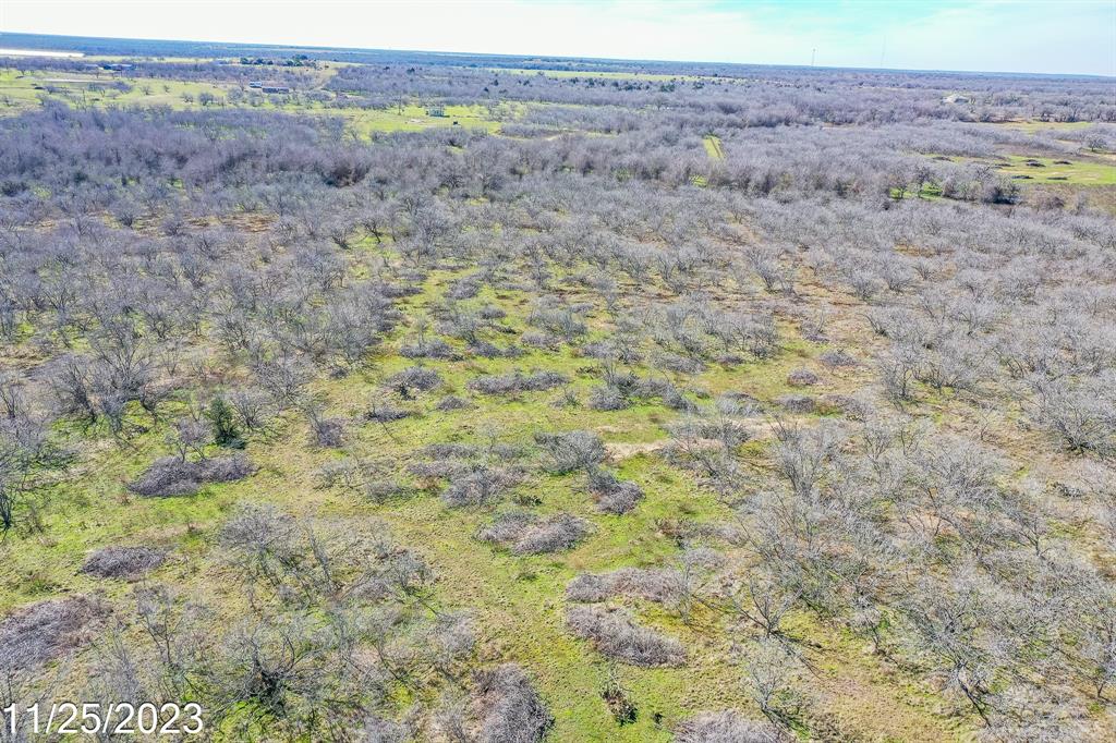 000 Cr 450 Lot 5, Waelder, Texas image 7