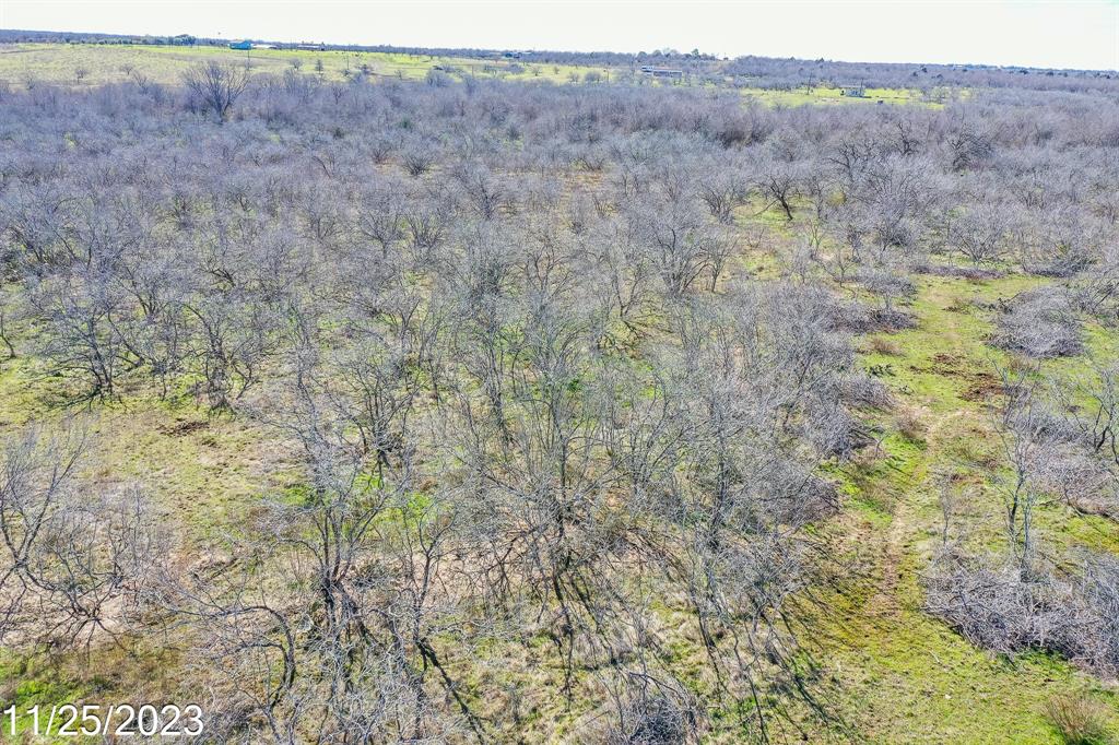 000 Cr 450 Lot 5, Waelder, Texas image 10