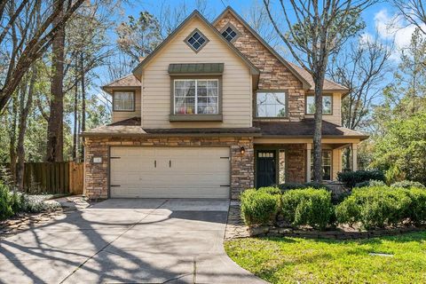 2 S Greywing Place The Woodlands TX 77382
