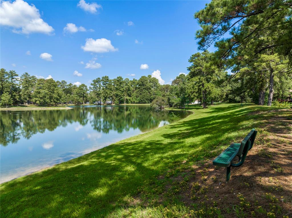 225 Harlingen Drive, Magnolia, Texas image 37