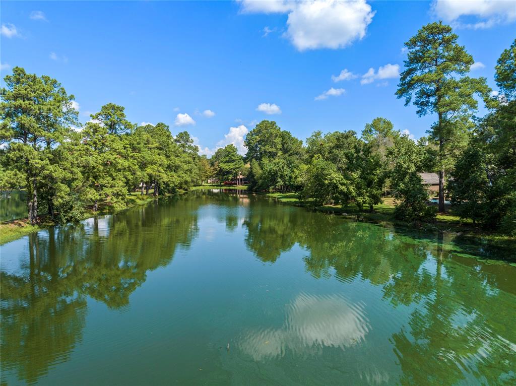 225 Harlingen Drive, Magnolia, Texas image 38