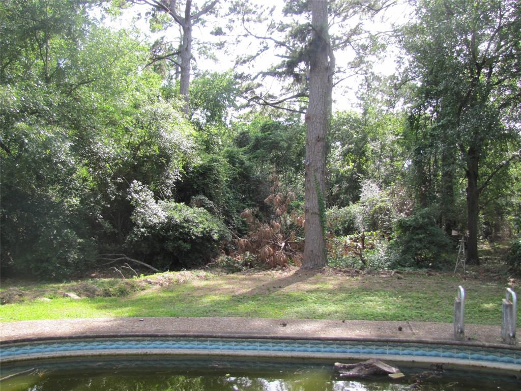 21315 Greengate Drive, Spring, Texas image 5