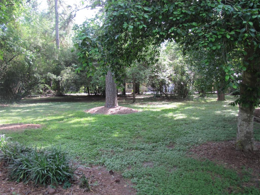 21315 Greengate Drive, Spring, Texas image 4