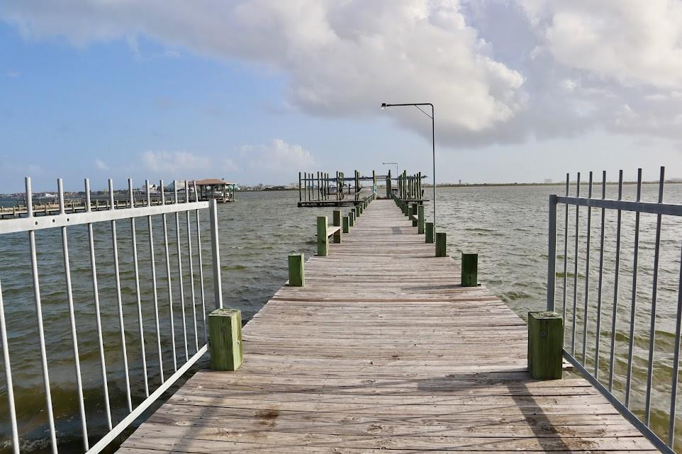 1007 Lillian Lane, Galveston, Texas image 32