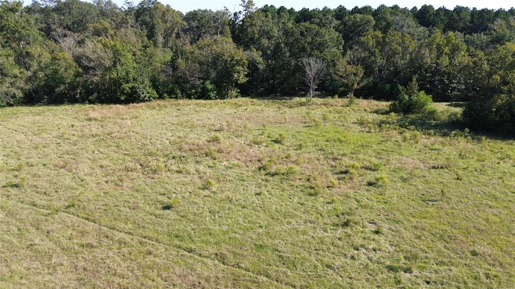 TBD Cr 2120, Crockett, Texas image 5