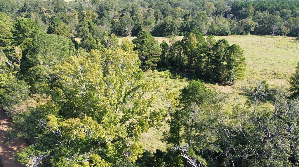 TBD Cr 2120, Crockett, Texas image 2