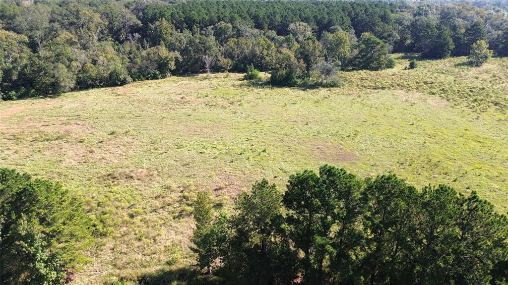 TBD Cr 2120, Crockett, Texas image 3