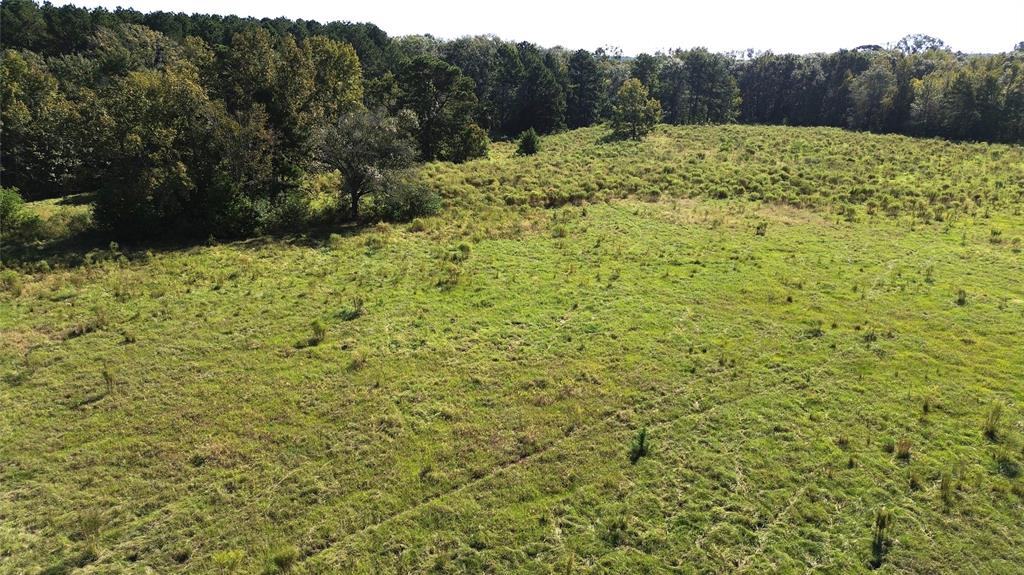 TBD Cr 2120, Crockett, Texas image 6