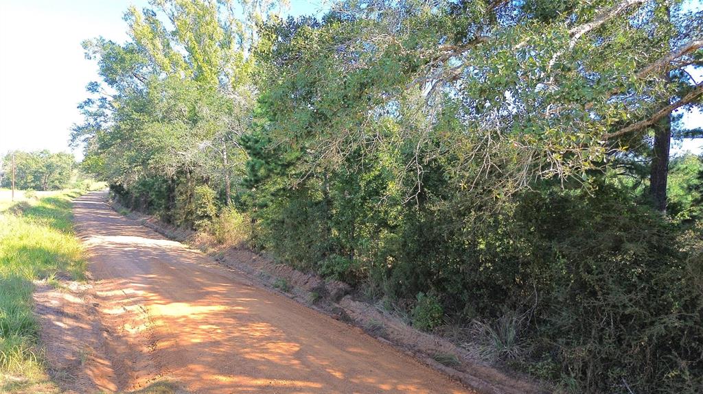 TBD Cr 2120, Crockett, Texas image 16