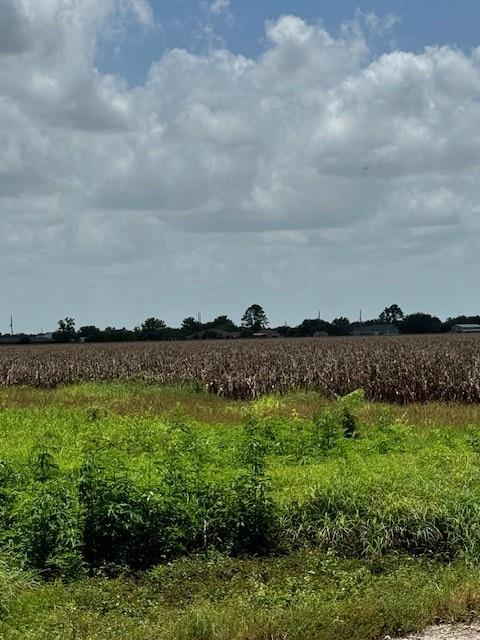 5415 Fenske Lane, Needville, Texas image 1