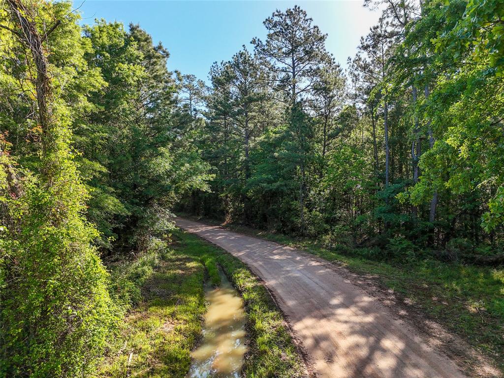 000 Trail Ride Road, Coldspring, Texas image 1