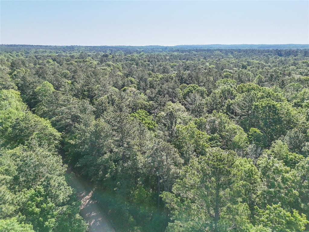 000 Trail Ride Road, Coldspring, Texas image 2