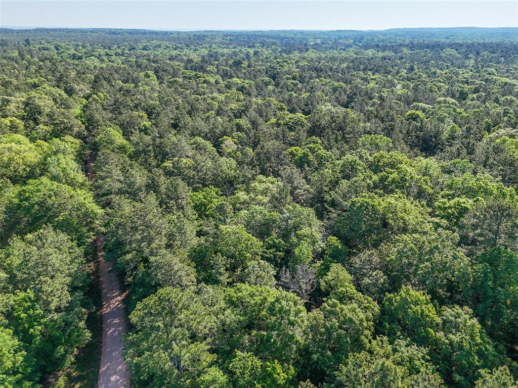 000 Trail Ride Road, Coldspring, Texas image 4