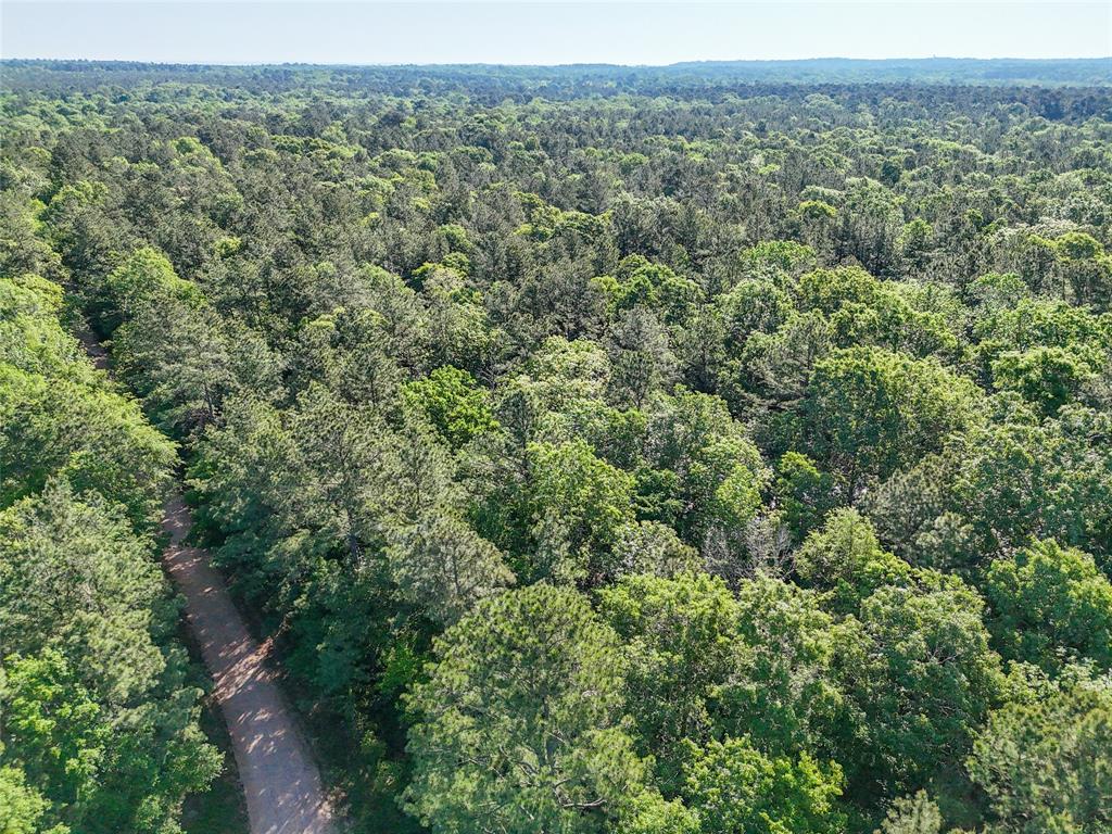 000 Trail Ride Road, Coldspring, Texas image 3