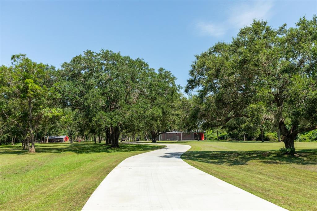 8860 County Road 400, Brazoria, Texas image 1