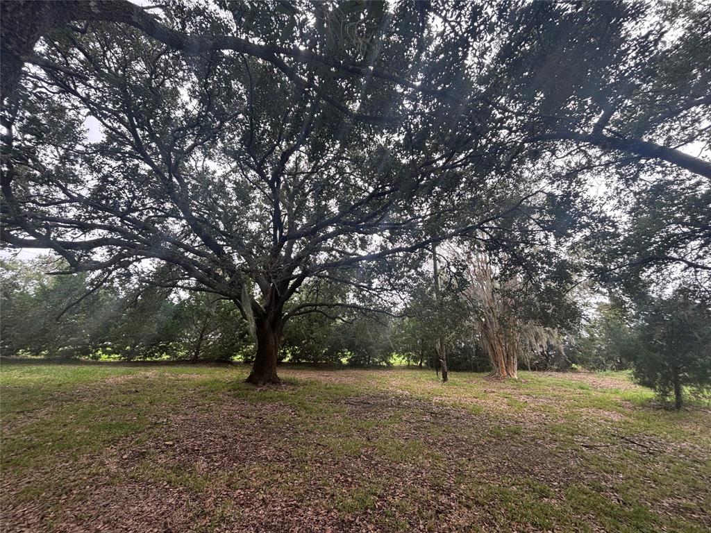 802 Bolivar Avenue, Anahuac, Texas image 5