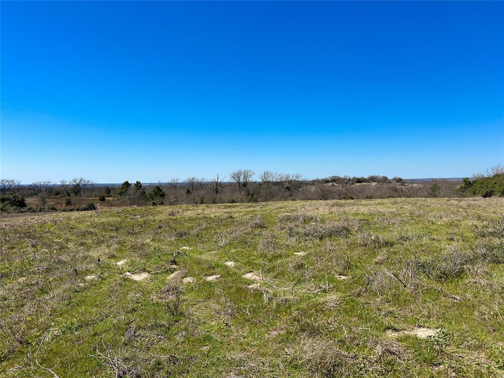 Na Cr 348, Marquez, Texas image 6